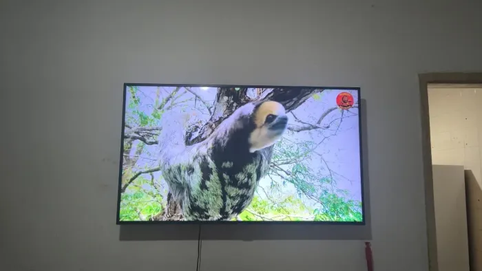 Smart Tv 50 polegadas