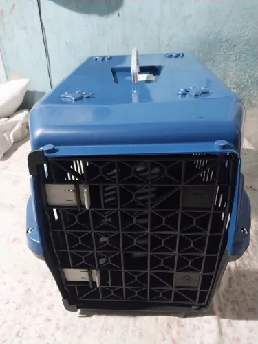 Caixa de Transporte grande Nº5 p/ Pet Gatos Coelho Cão Aves 25 Kg