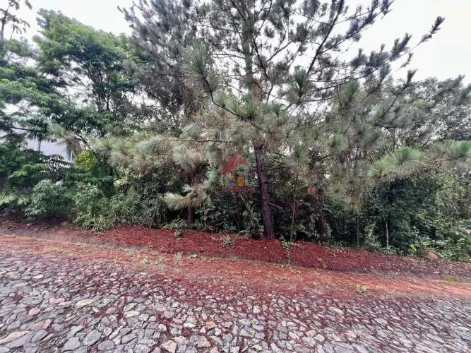 Lote à venda - Condomínio Vale da Mata | Rio Acima