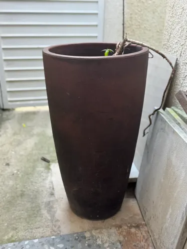 Vaso Cone Alto 
