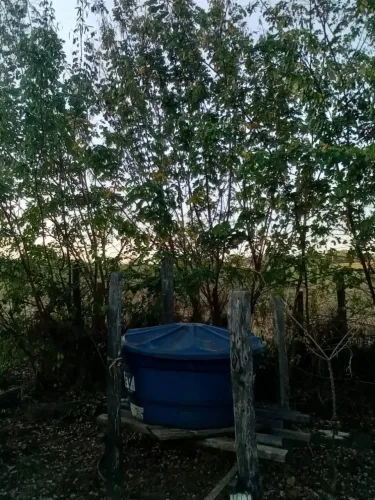 Chácaras/Imóveis Rurais RanchoSítio em Cajuru