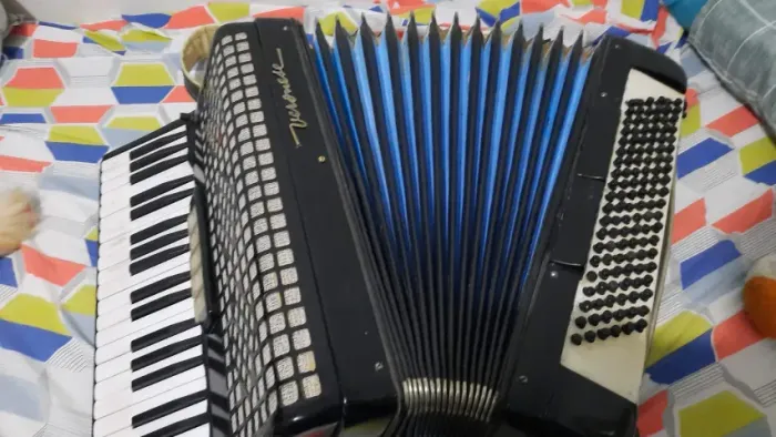 acordeon veroneze 120 baixos favor ler o anuncio
