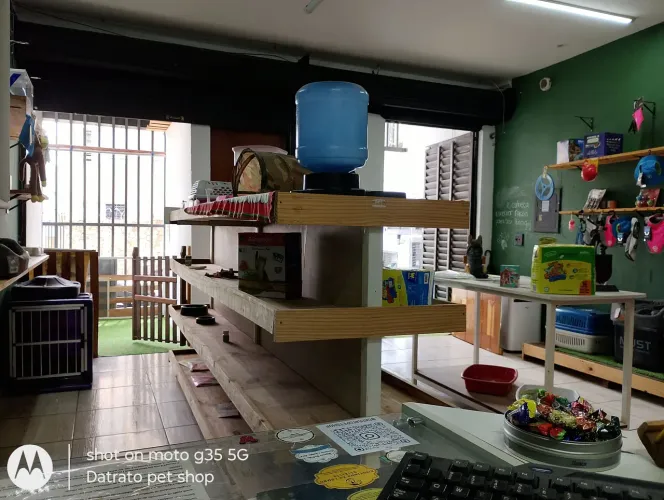 Oportunidade única, Pet shop zona Sul de Belo Horizonte