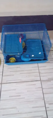 Gaiola para hamaster
