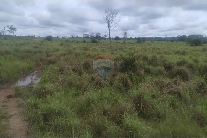 Propriedade Rural de 81,34 ha com Infraestrutura Completa e Alto Potencial Agrícola Próxi