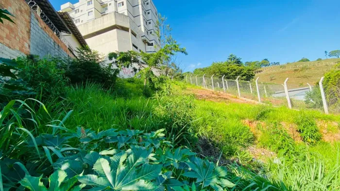 Lote / Terreno à venda em Belo Horizonte