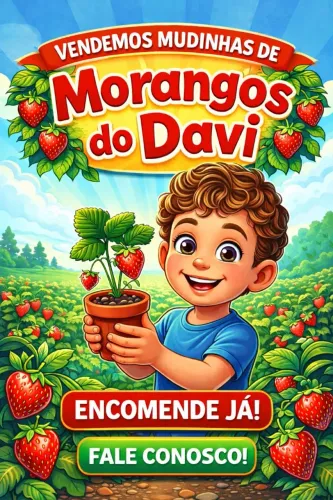 Mudinhas de morangos ?