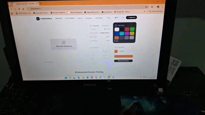 Philips 166VL (16inch Wide LCD MONITOR 166V3L)