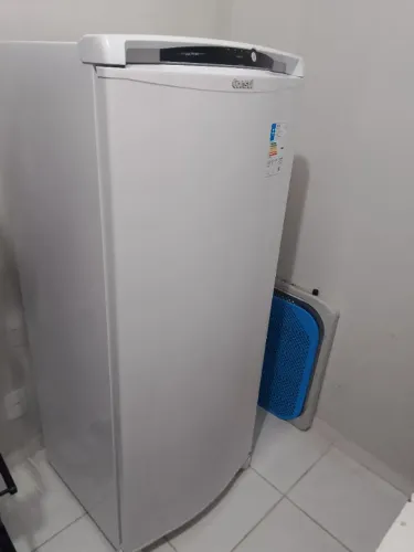 Geladeira Consul 300l