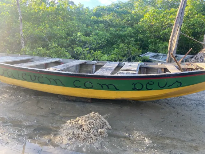 Canoa tamanho 5,60m 
