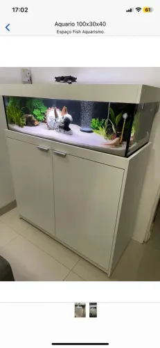 aquário sob encomenda