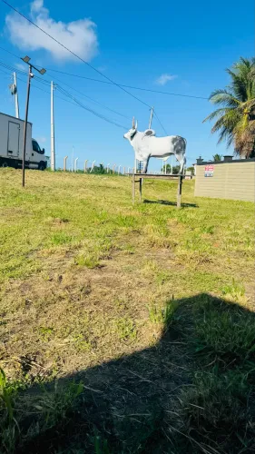 Granja terreno na lagoa do Bonfim 