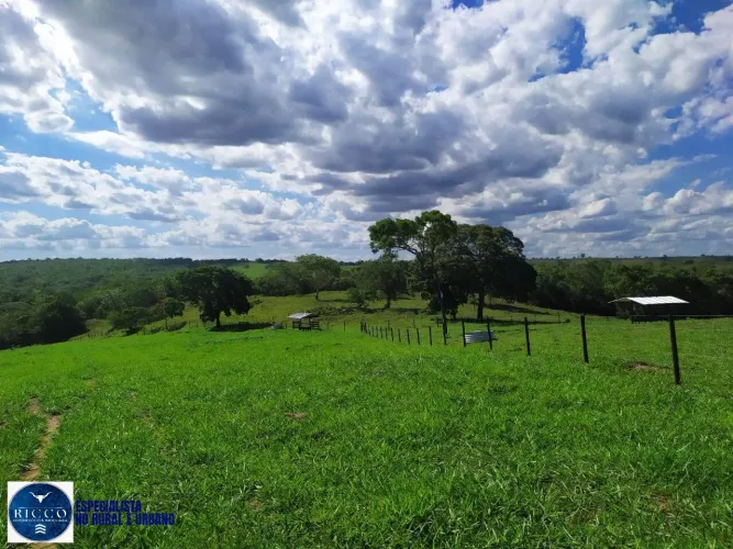 Fazenda à Venda em Morrinhos (GO)  26,5 Alqueires - Para Pecuária