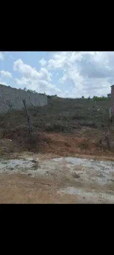 Terreno 10×25