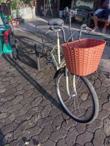 Bicicleta