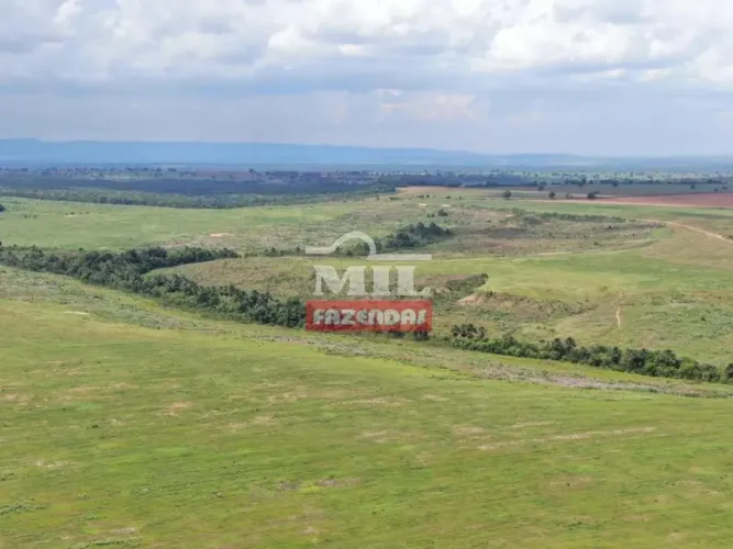 Fazenda 60,5 alqueires (292,42 hectares) Montes claros - GO
