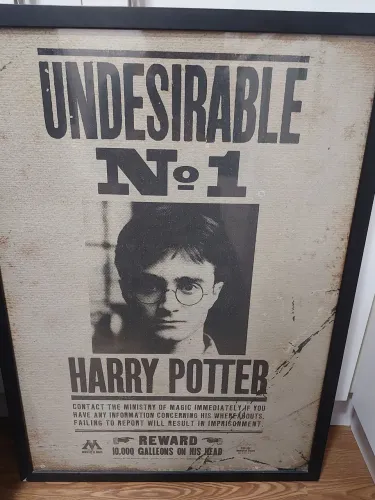 Quadro Harry Potter undesirable 