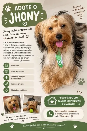 Adoção responsável