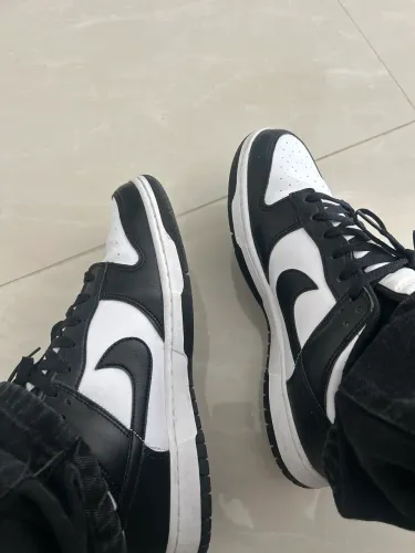 nike dunk low retro 