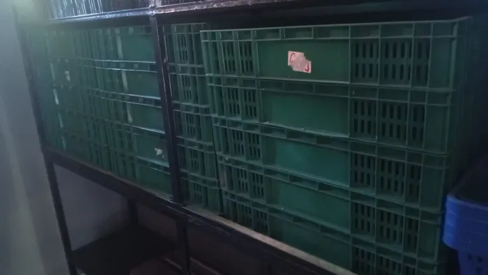 Caixa de verduras para banca de frutaria verdurao