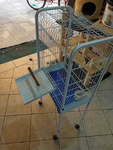 Gaiola viveiro para calopsita