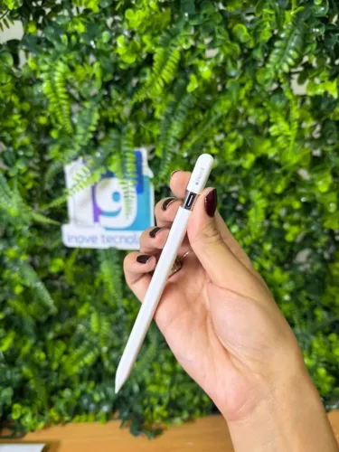 Apple Pencil USB C  Original Apple Modelo A1603 