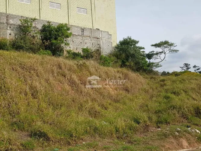 Terreno à venda, 1200 m² por R$ 635.000,00 - Granja Clotilde - Cotia/SP