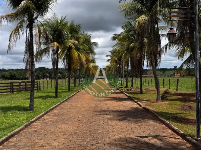Fazenda em Mundo Novo - GO