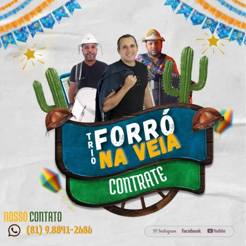 Trio Forró na Veia