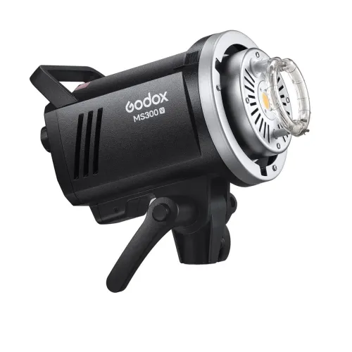 Flash Godox MS300v