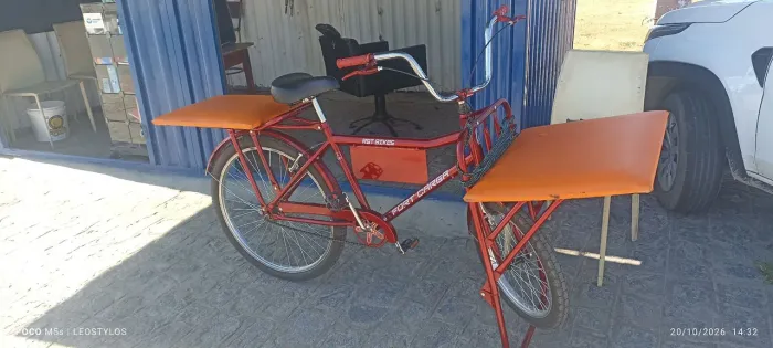 Bicicleta de carga
