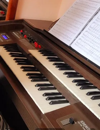 Instrumento musical  Órgão harmonia-Hs100 troco num teclado profissional 