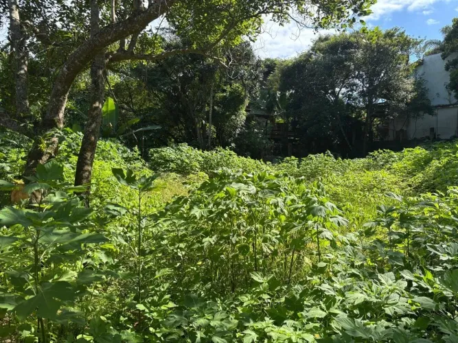Terreno na Praia do Rosa - SC