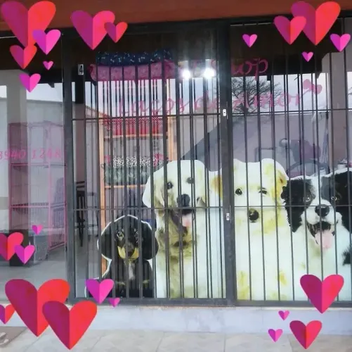 Pet Shop