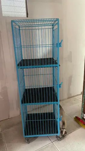Gaiola pra pet