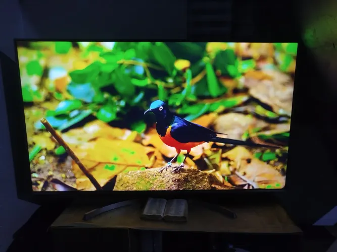 Smart tv LG 65"