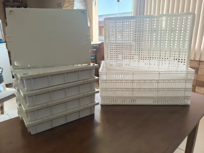 KIT CONGELAMENTO E KIT FERMENTAÇÃO