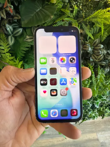 12 Mini