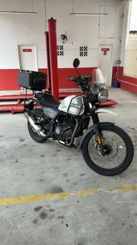 Himalayan