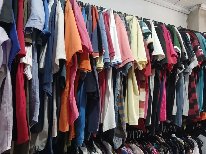 Camisas e camiseta masculina