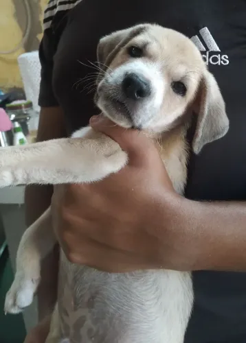 Doação 