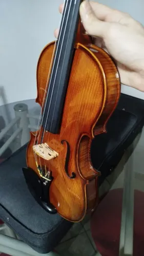 Violino