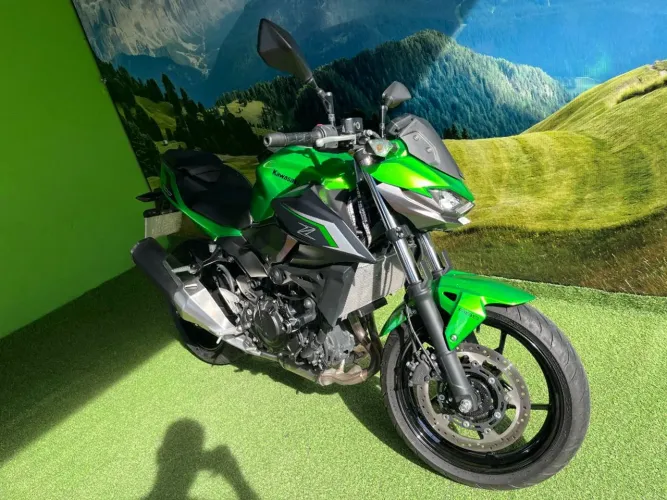 Z 500 SE