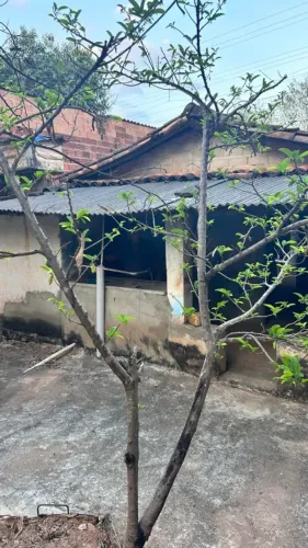 Casa para Venda em Pirenópolis, LAPA, 3 dormitórios, 1 banheiro