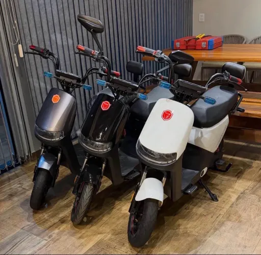 Moto elétrica Foston X15 Max 1000W