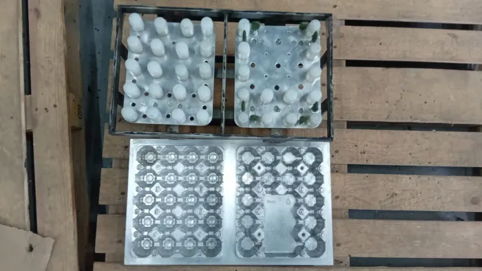 Molde  vacuum forming Termoformadora ovos galinha 20 unidades 