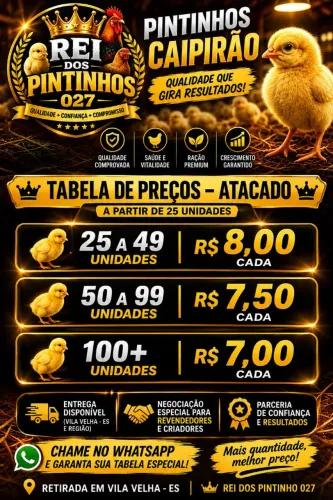 PINTINHOS CAIPIRÃO NO ATACADO - VILA VELHA/ES