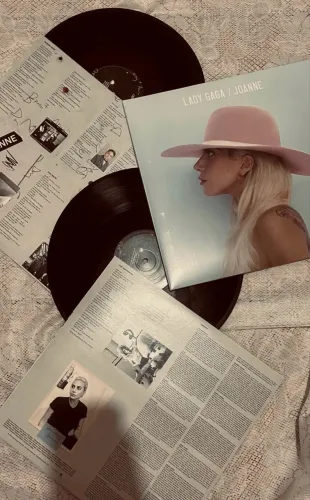 Vinil