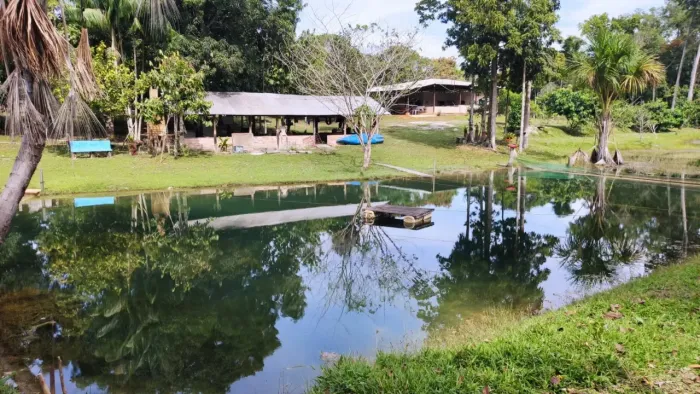 Vendo Sítio Escriturado 46 hectares(246x1975) na BR 364, Linha 22, Próximo dos Rios das Ga