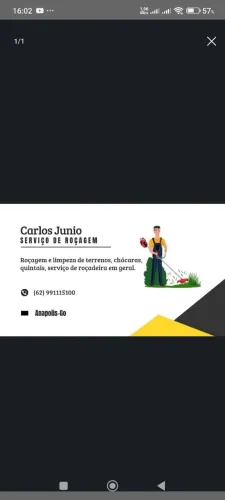 Roçagem em geral